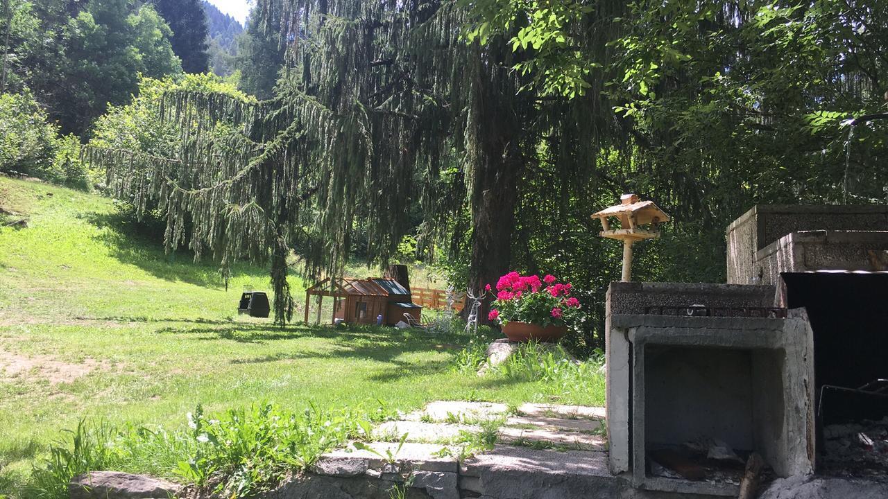 B/B La Locanda Delle Pulci Mezzana Kültér fotó